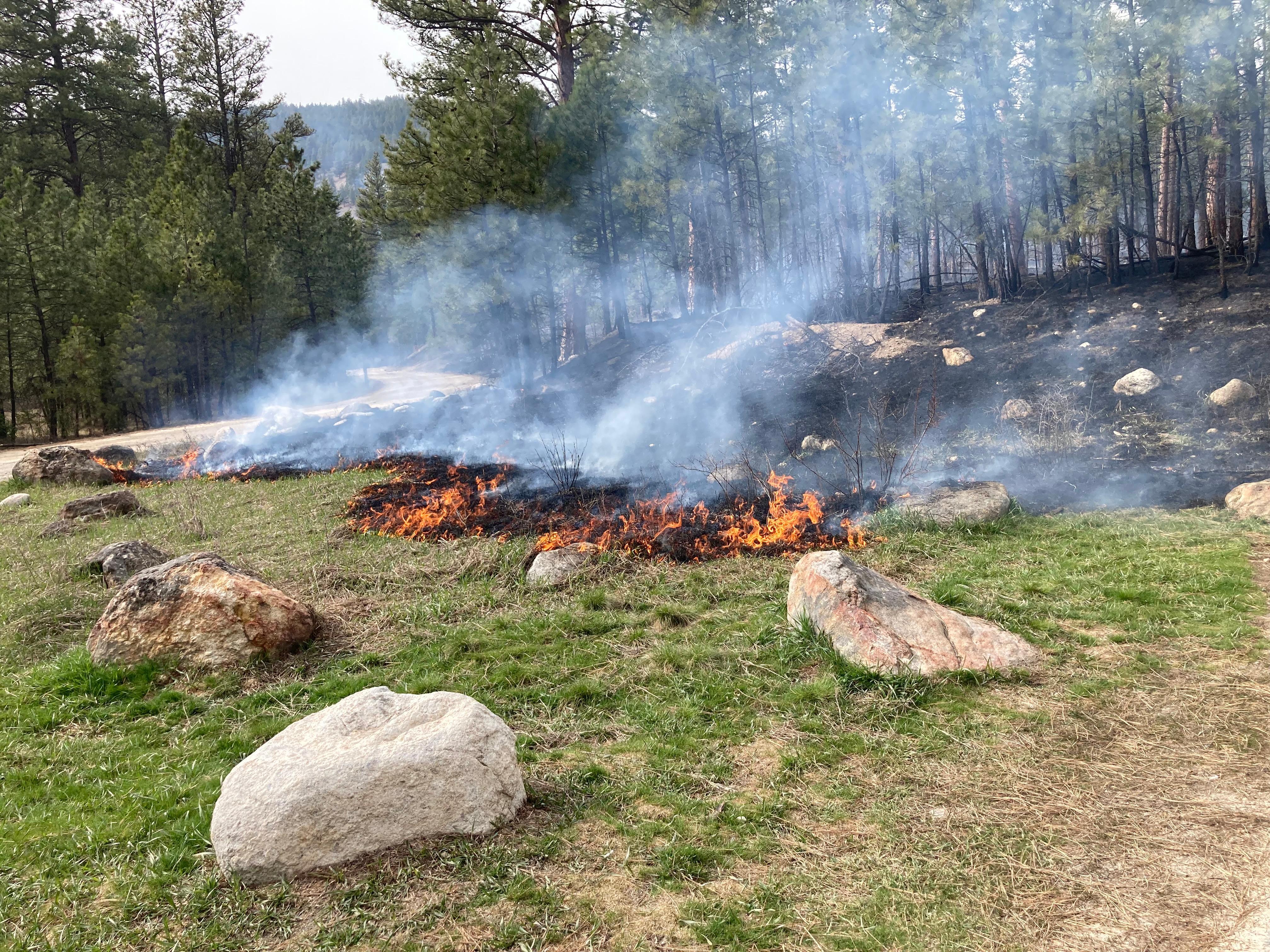 Incident Photo for the Bitterroot Spring RX 2022 Fire