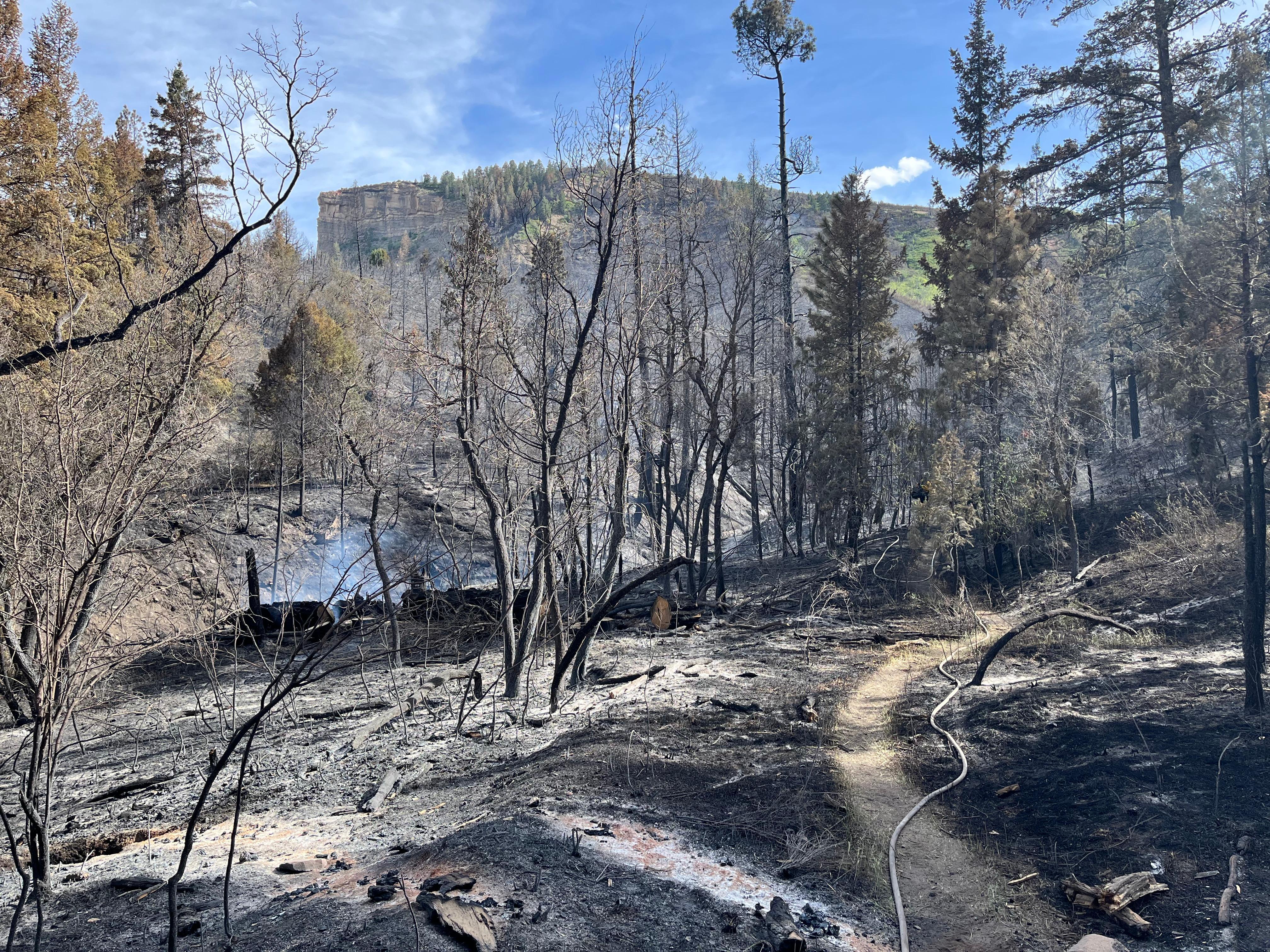 Incident Photo for the Perins Peak Fire