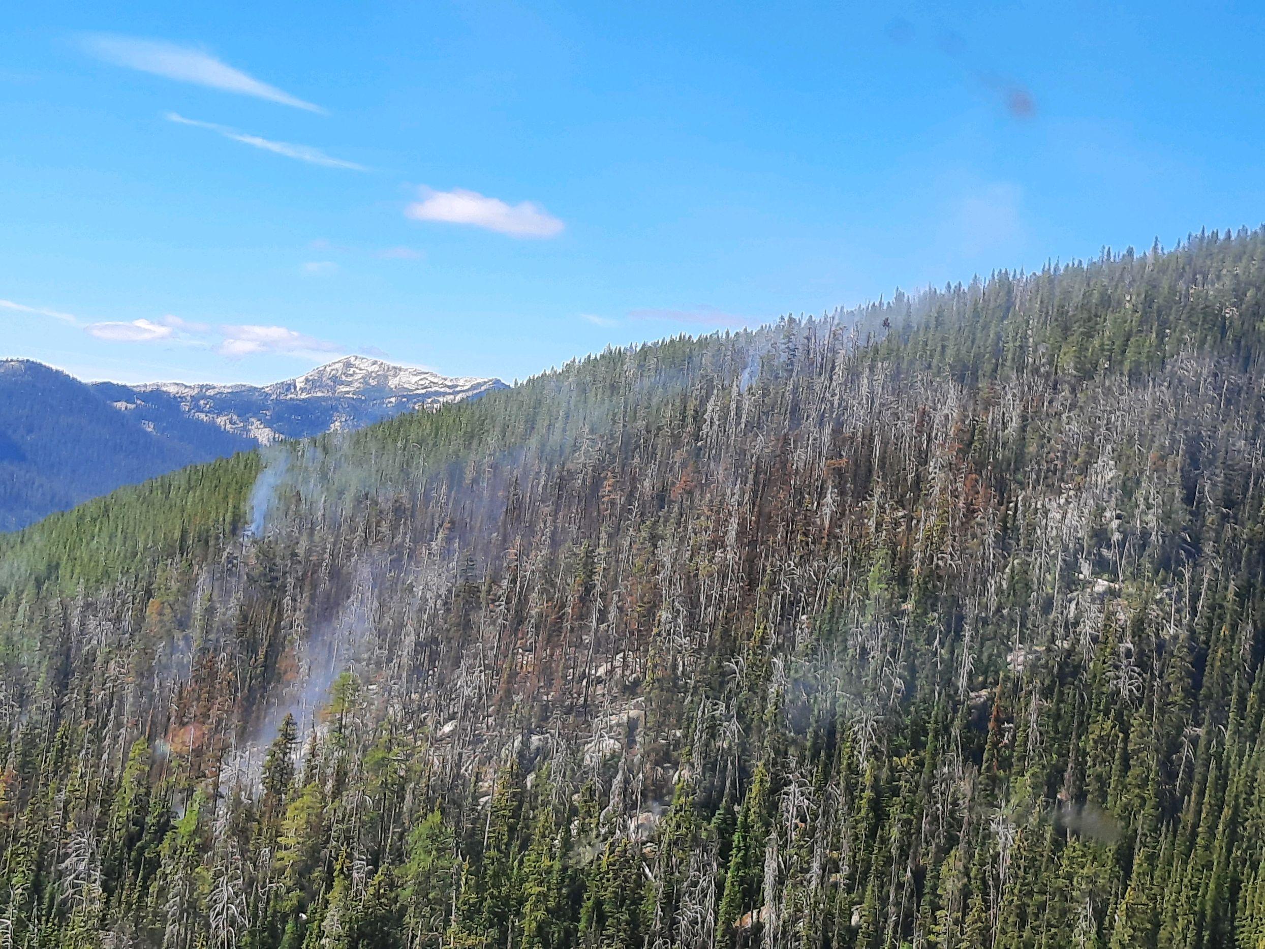 Trout Fire (2022) near Bonners Ferry, Idaho Current Incident